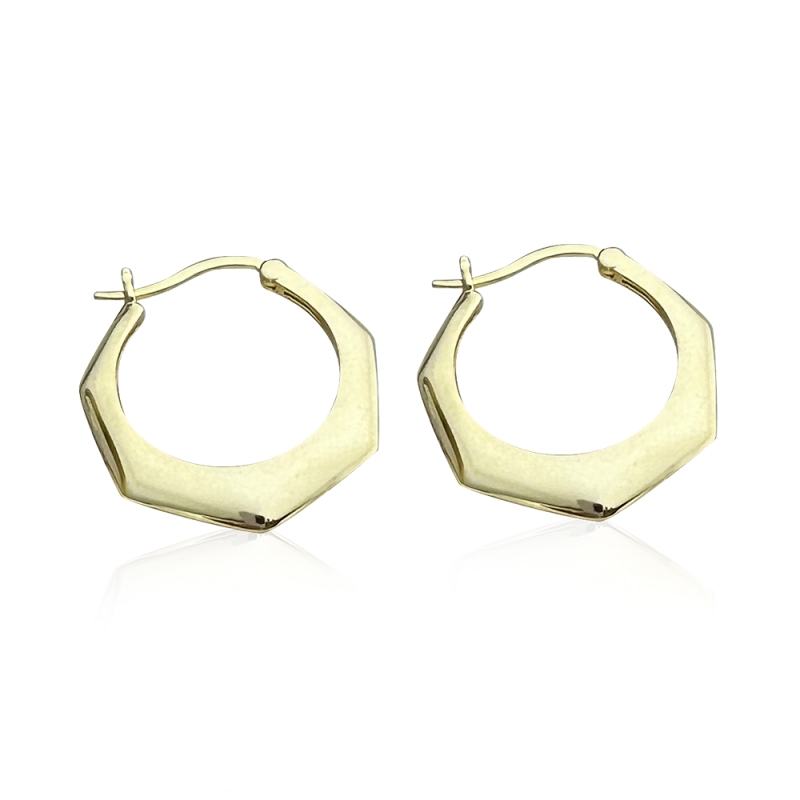 Hexagon Shape Hoop Earrings