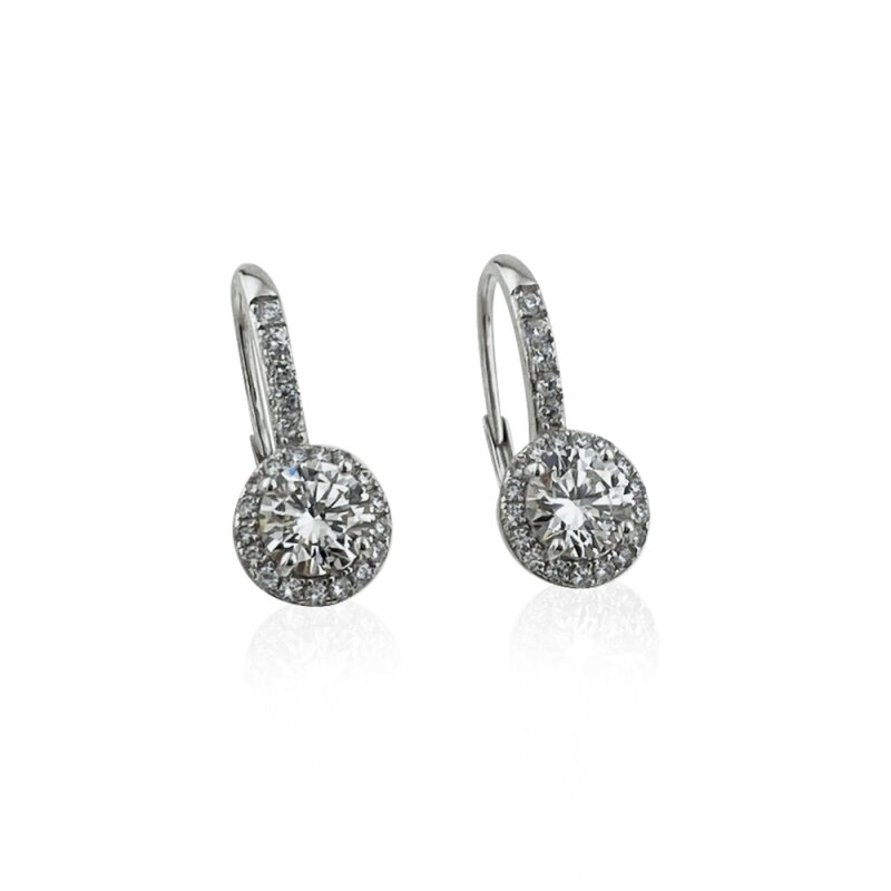 Moissanite Hook Earrings - 1