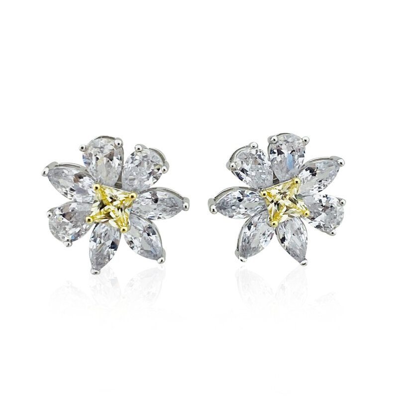 Remi Stone Earrings - 1