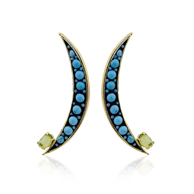 Turquoise Design Crescent Earring